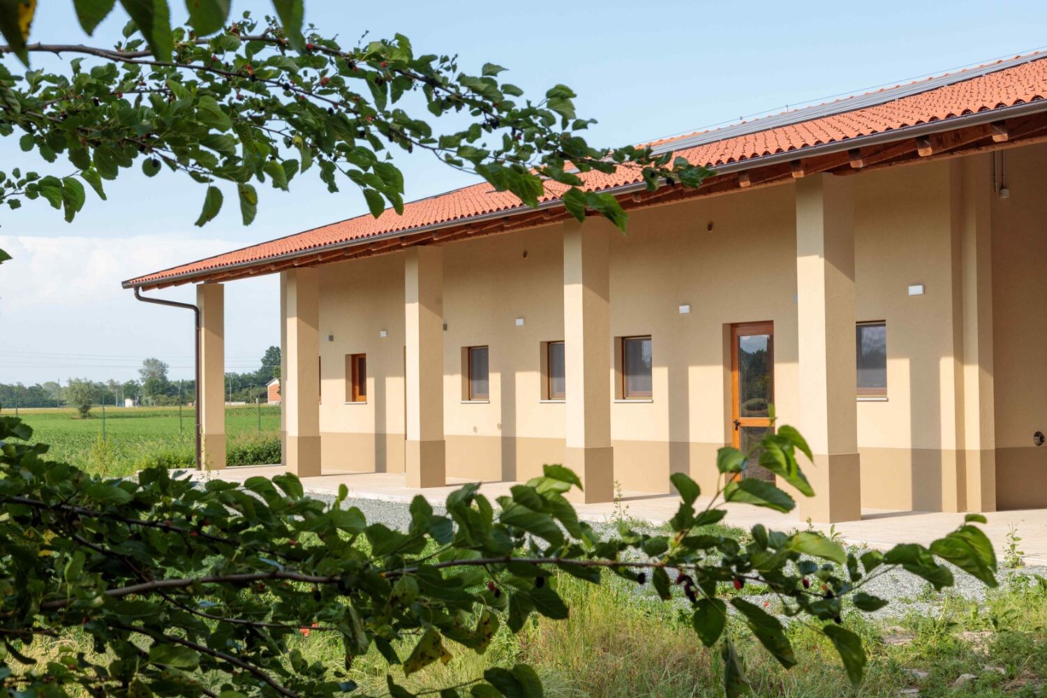 Opera Savigliano Progetto Moretta Nuova Costruzione Della Scuola Agenform 11