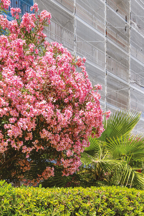 Valutazioni di sostenibilità aziendale a lungo termine